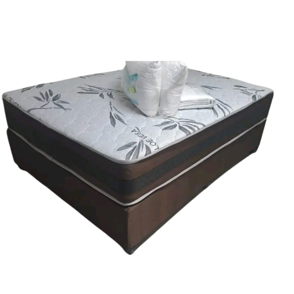 Double Spring Bed – Everyday Comfort for Families